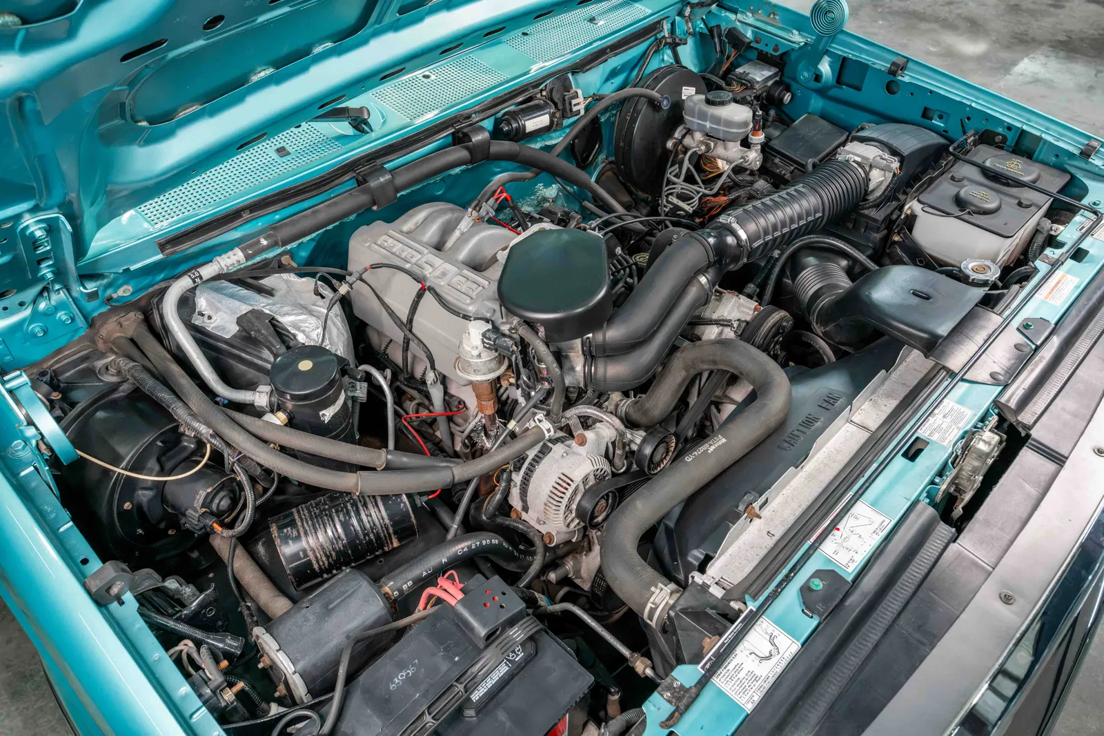 1995-Ford-F150-Calypso Green-1FTEF14N6SLB86015-41.jpg